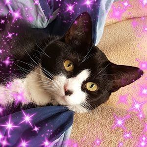 Meet your Posher, Stacey